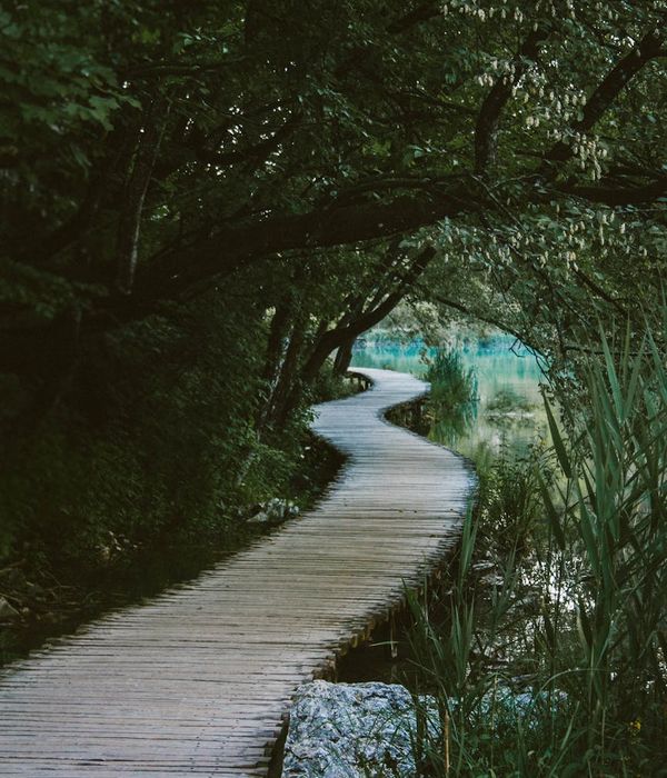 A path winding through a serene forest, symbolizing a long-term journey.